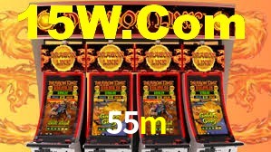 Premium Interface 55m